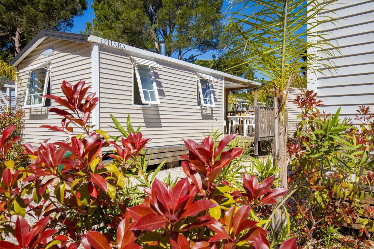Camping Taxo Les Pins Argeles-sur-Mer Ngoại thất bức ảnh