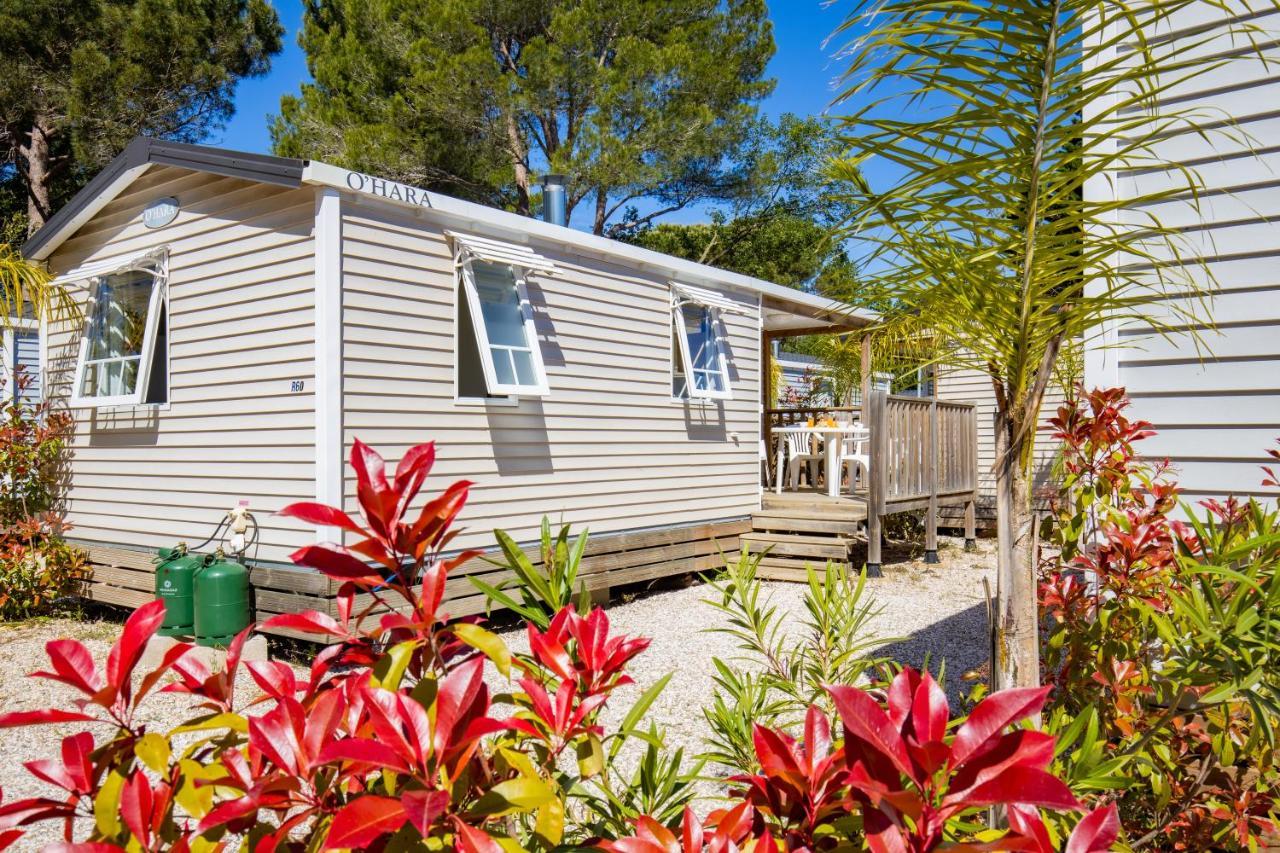 Camping Taxo Les Pins Argeles-sur-Mer Ngoại thất bức ảnh