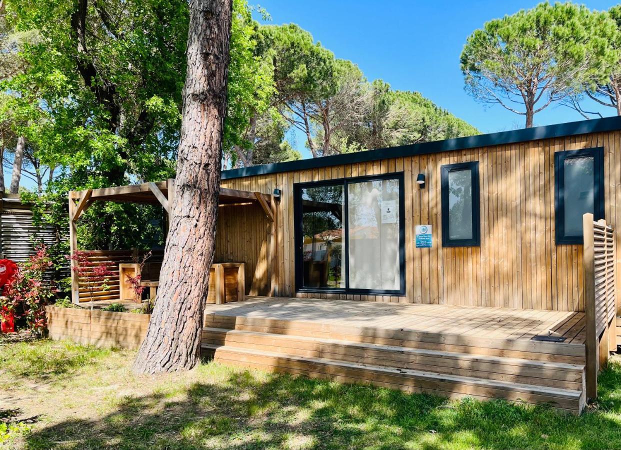 Camping Taxo Les Pins Argeles-sur-Mer Ngoại thất bức ảnh