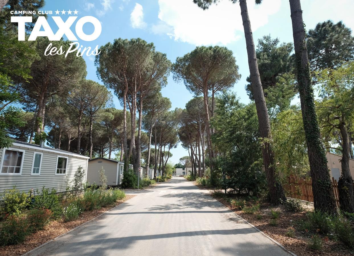 Camping Taxo Les Pins Argeles-sur-Mer Ngoại thất bức ảnh
