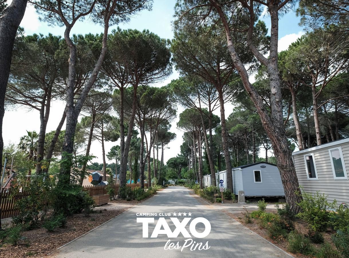 Camping Taxo Les Pins Argeles-sur-Mer Ngoại thất bức ảnh