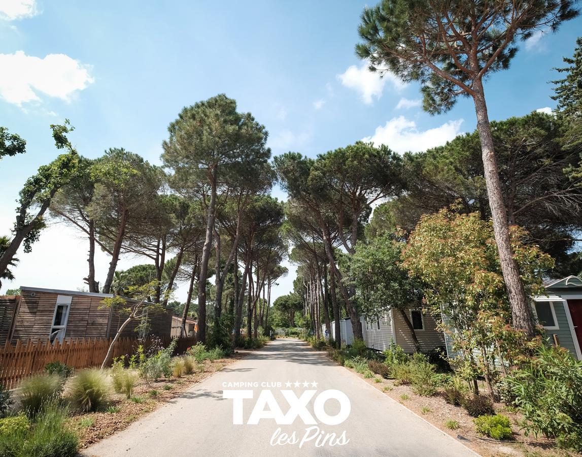 Camping Taxo Les Pins Argeles-sur-Mer Ngoại thất bức ảnh