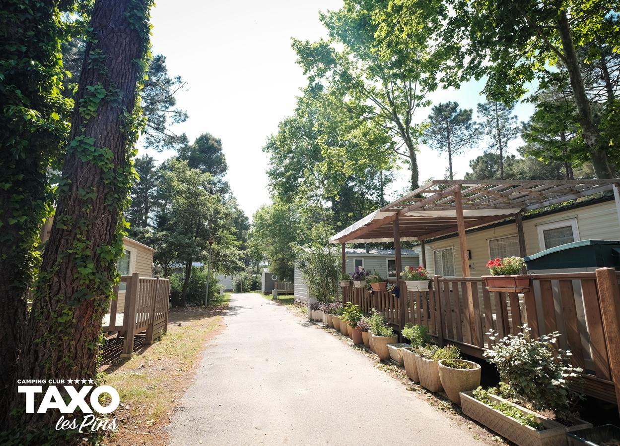 Camping Taxo Les Pins Argeles-sur-Mer Ngoại thất bức ảnh