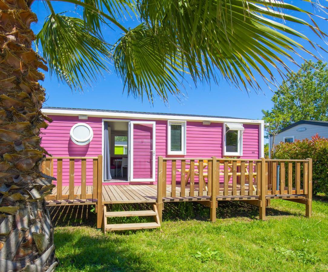 Camping Taxo Les Pins Argeles-sur-Mer Ngoại thất bức ảnh