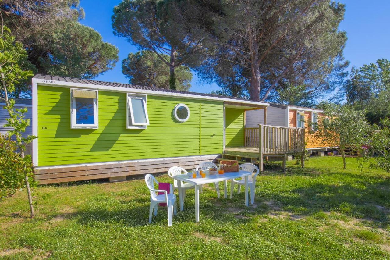 Camping Taxo Les Pins Argeles-sur-Mer Ngoại thất bức ảnh
