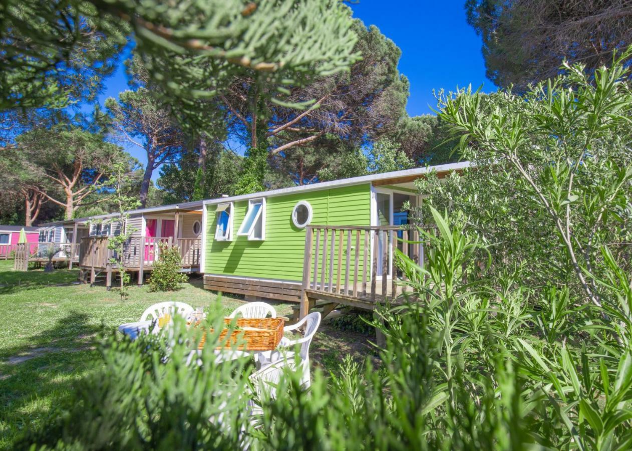 Camping Taxo Les Pins Argeles-sur-Mer Ngoại thất bức ảnh